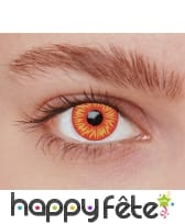 Lentilles feu UV, image 2