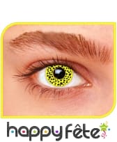 Lentilles jaunes tachetées de noir