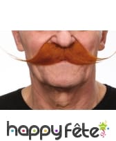 Longues moustaches rousses