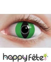 Lentilles oeil de reptile, image 2