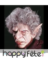 Longues oreilles d'orque