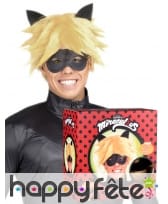Loup perruque Chat noir Miraculous adulte, coffret