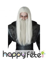 Longue perruque grise de sorcier