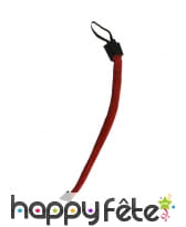 Longue queue de diable pointue