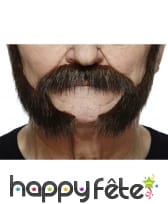 Longues rouflaquettes barbe brunes