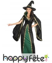 Longue robe verte et noire de sorcière