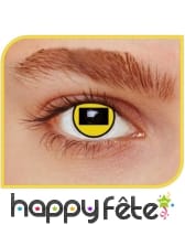 Lentilles sage, naruto