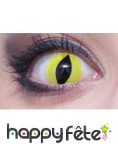 Lentilles vertes pupille de reptile, image 2