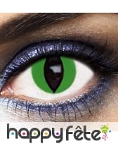 Lentilles yeux de chat fond vert