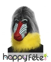 Masque de babouin intégral