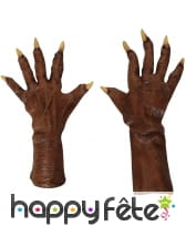 Mains de loup garou en latex et avants-bras
