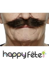 Moustaches de Lord anglais brunes