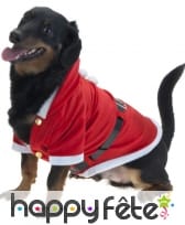 Manteau de père Noël pour chien