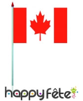 Mini drapeau sur hampe de 9.5 x 16 cm, image 11