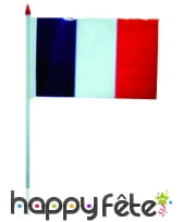 Mini drapeau sur hampe de 9.5 x 16 cm, image 27