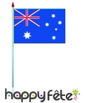 Mini drapeau sur hampe de 9.5 x 16 cm, image 6