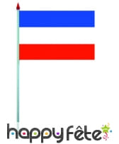 Mini drapeau sur hampe de 9.5 x 16 cm, image 64