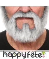 Moustache et barbe grise tout en un