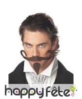 Moustache et barbichette de mousquetaire