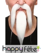 Moustache et bouc blanc de chinois