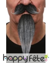 Mousaches et longue barbichette poivre et sel