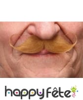 Moustaches Francaise blondes