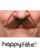 Moustaches Francaise chatains