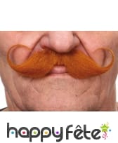 Moustaches francaise rousses