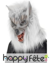 Masque loup argent
