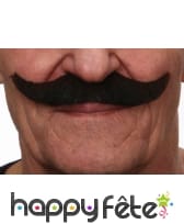 Moustaches norway brunes