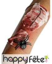 Manchon plaie en sang avec araignée