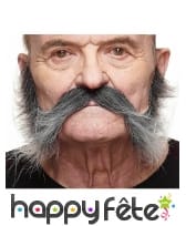 Moustache pattes grisonnante adhésive