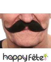 Moustaches russes noires