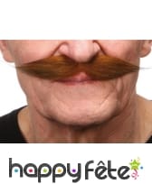 Moustaches rousses style 19eme