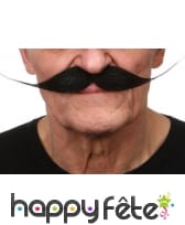 Moustaches salvator dali