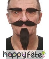 Moustache, sourcils et barbiche brune