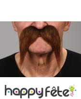 Moustaches tombantes chatain