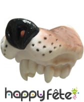 Nez de chien, image 1