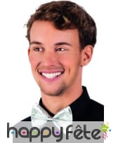 Noeud papillon argenté uni