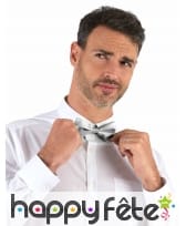 Noeud papillon coloris argenté