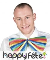 Noeud papillon géant et multicolore