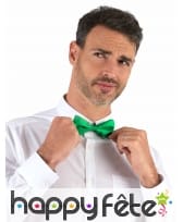 Noeud papillon vert uni