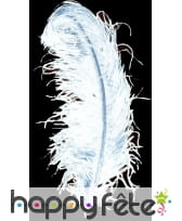 Plume autruche blanche extra 50 cm