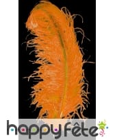 Plume autruche orange extra 50 cm