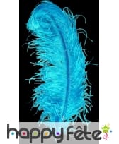 Plume autruche turquoise extra 50 cm