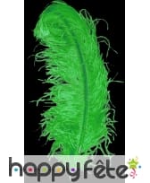 Plume autruche verte extra 50 cm