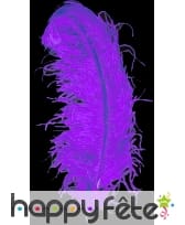 Plume autruche violette extra 50 cm