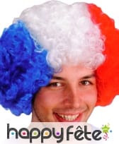 Perruque bleu blan rouge, drapeau Francais