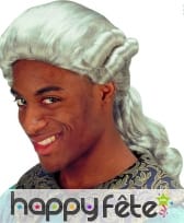 Perruque baroque grise