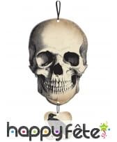 Panneau crâne et corbeau à suspendre